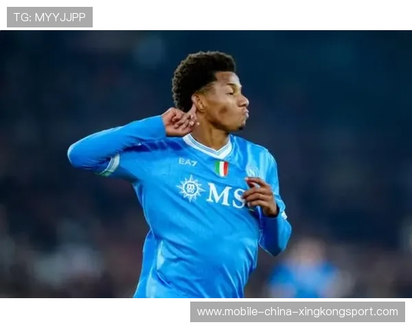 意甲积分榜：那不勒斯领跑 米兰双雄与罗马同分 紫百合垫底，意甲28轮国米对那不勒斯